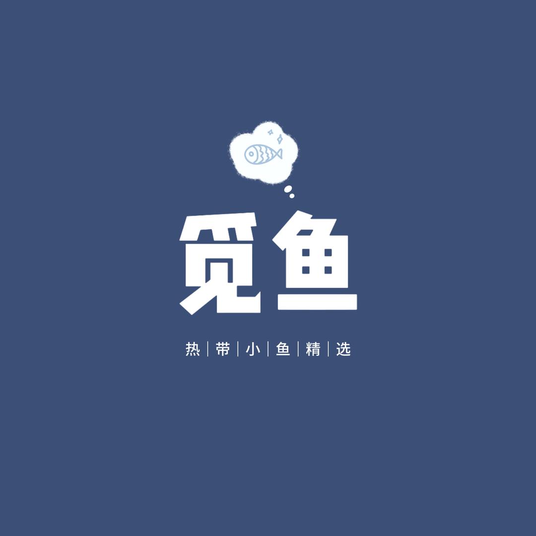 觅鱼story
