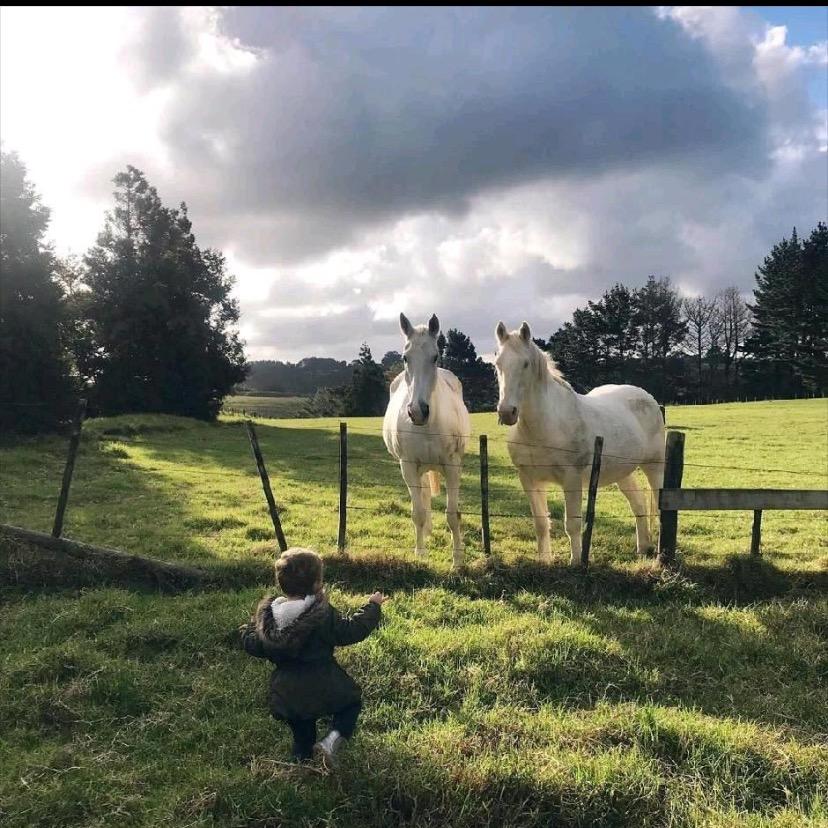 山高路远ㅤㅤㅤ