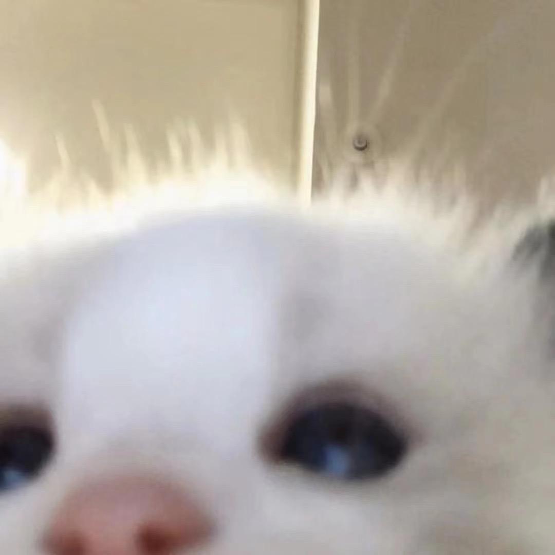 小侯同学
