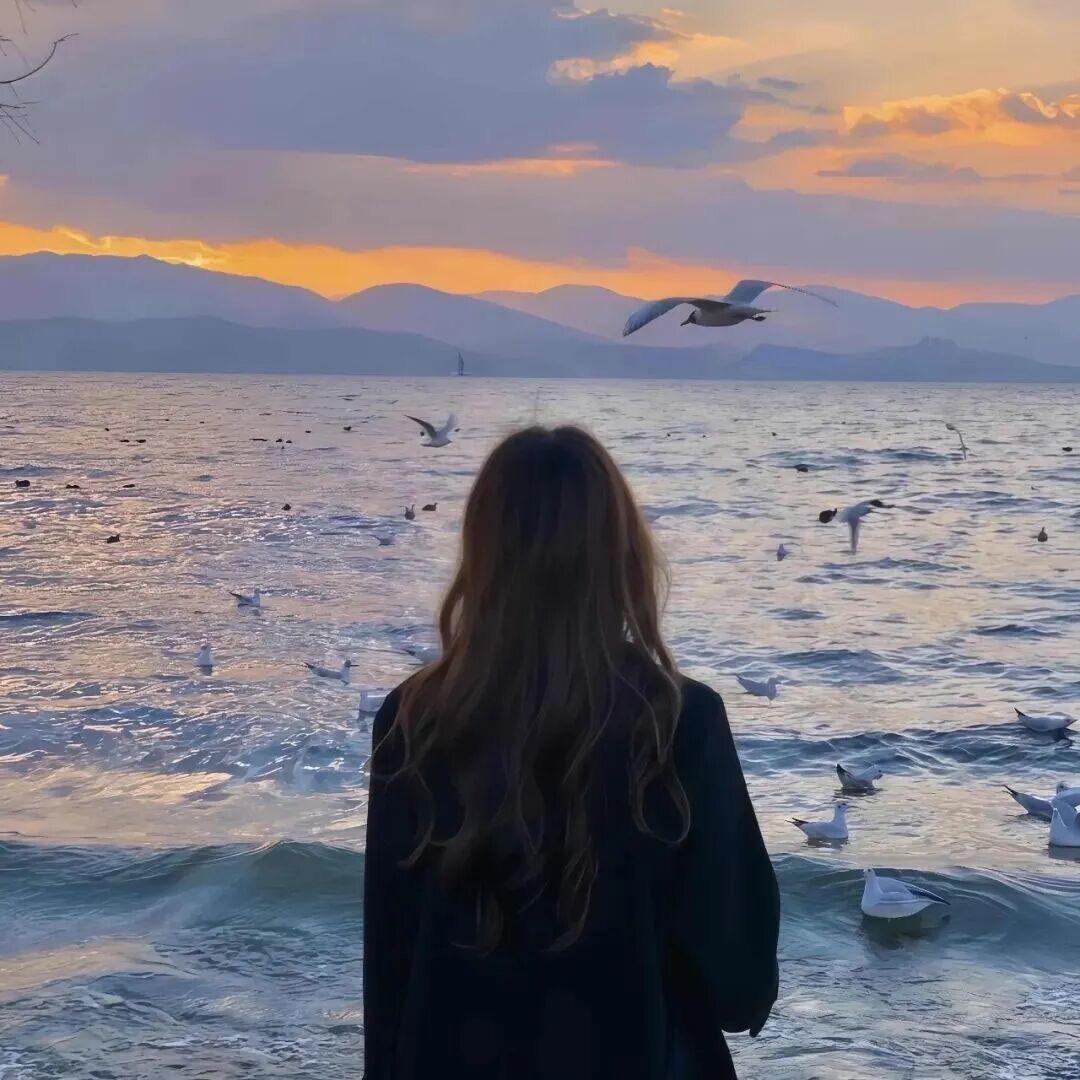 姓谭的谭🤍ྀི