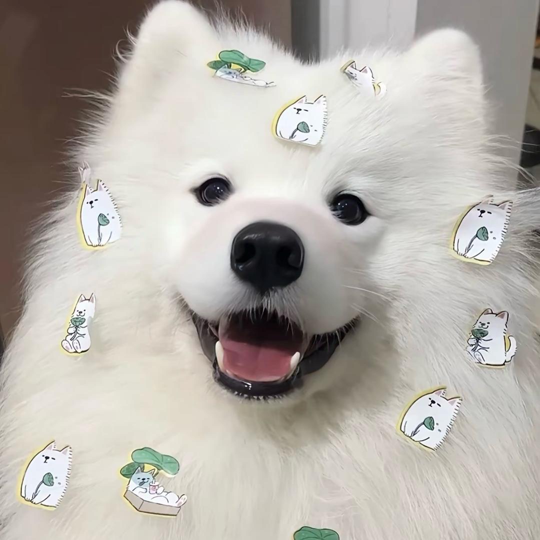 香仔