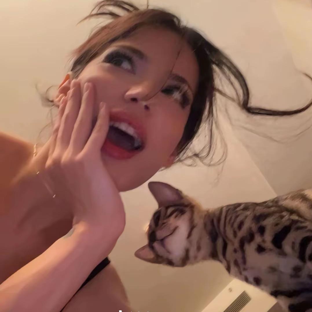张蛋挞