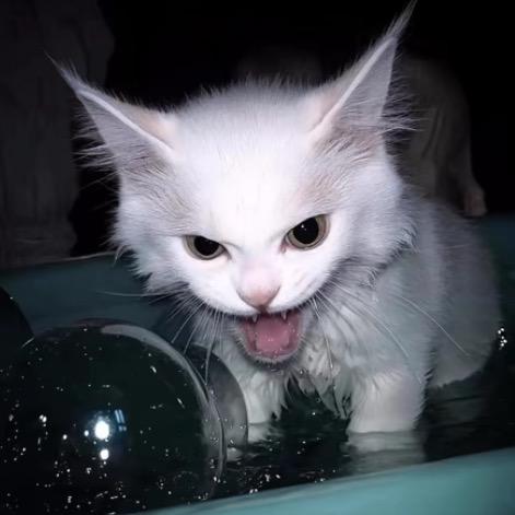 躯体