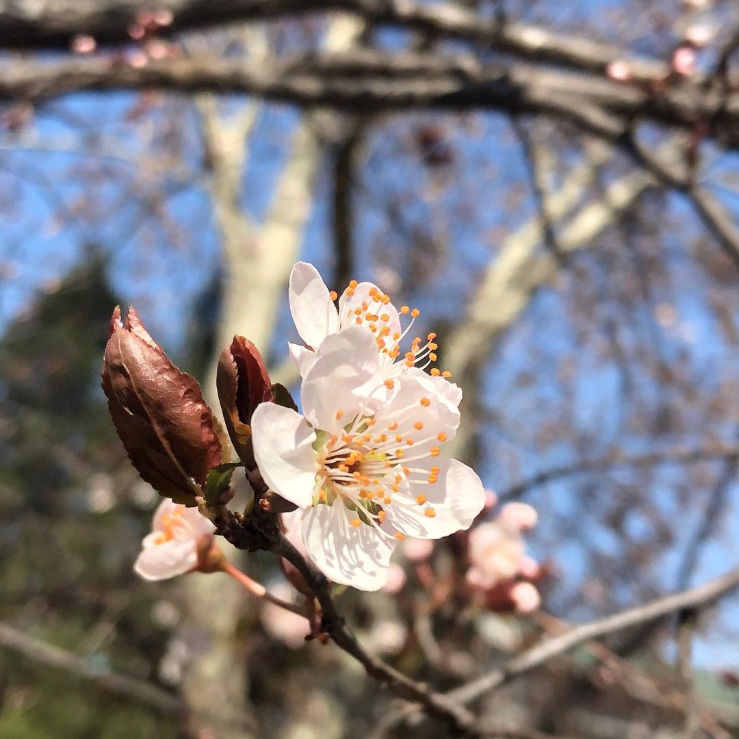 刘老师的日常碎片