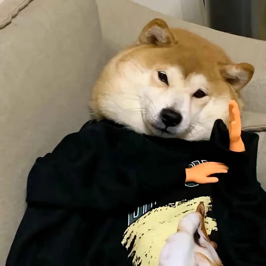 Oi.