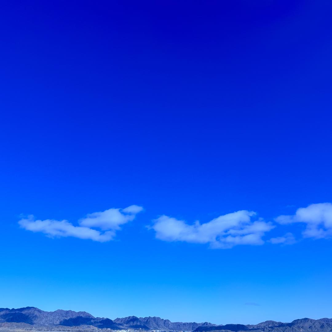 真的真的