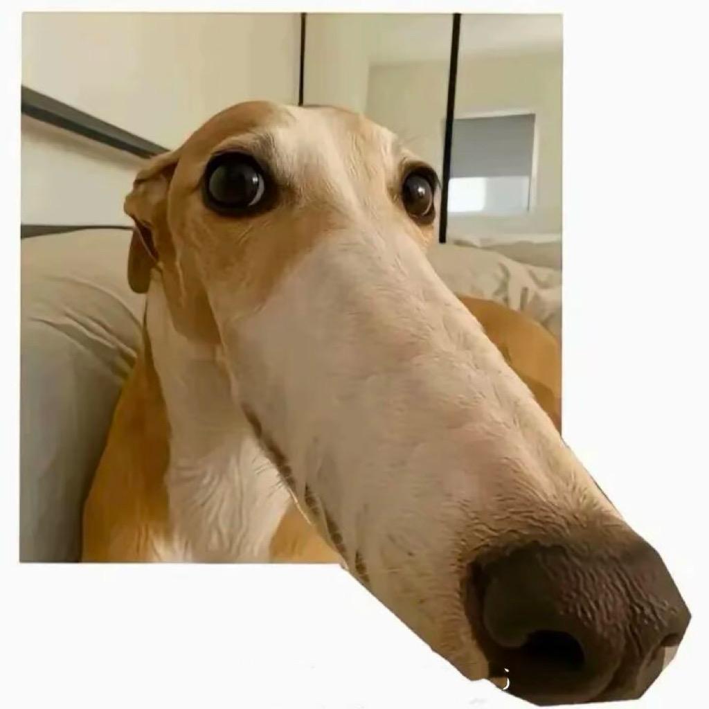 直视我.