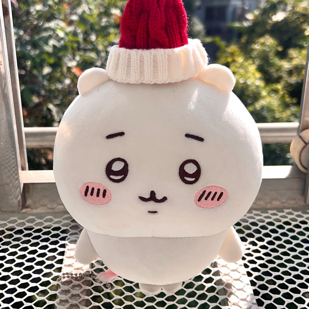 鸡翼