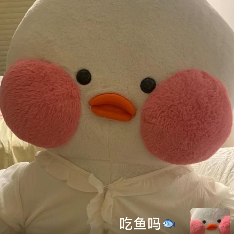 是魚不是鱼🐟