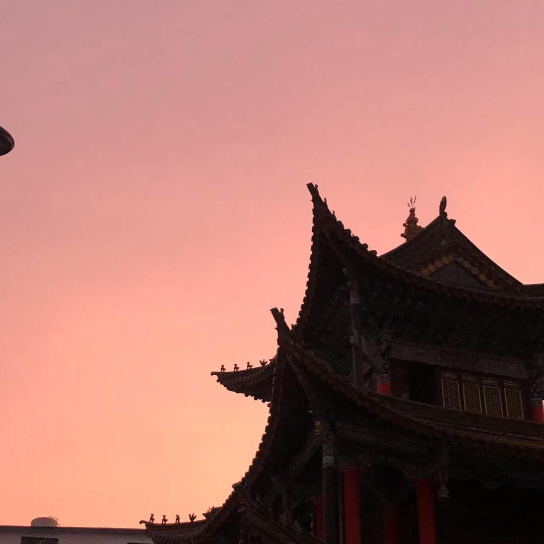 丑小鸭nv