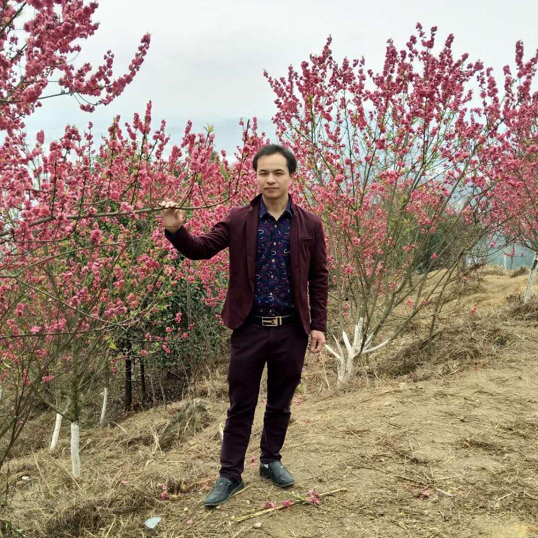 °⌒ | °⌒韦伟⁵²º⅓¼