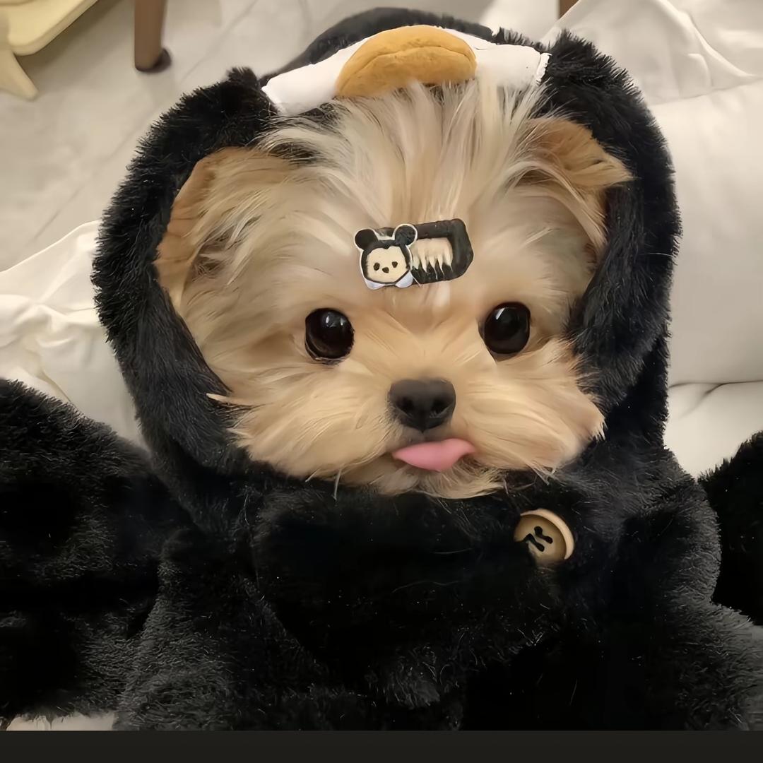 故里