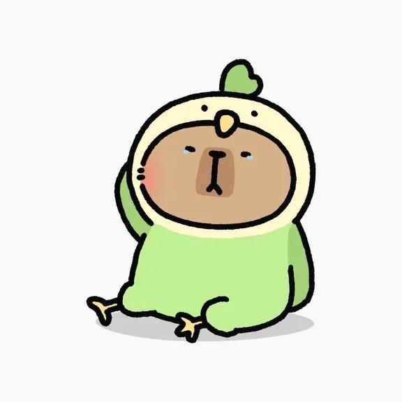 海上森林一只猫