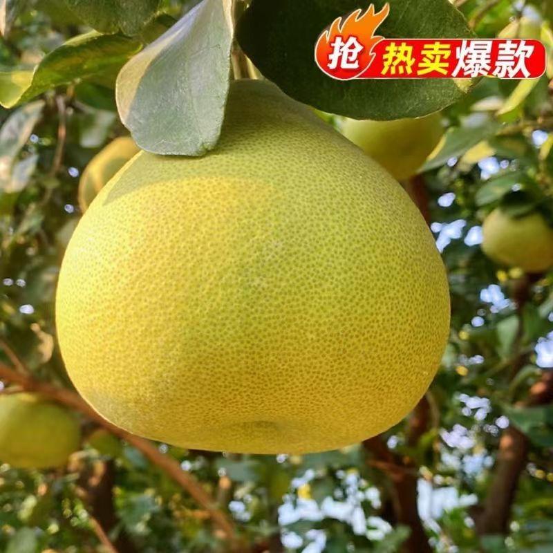井親生鲜