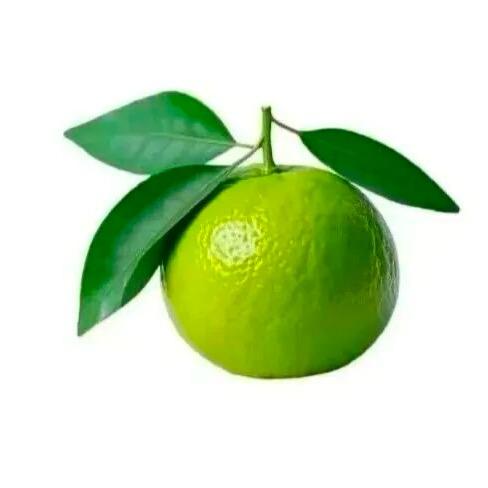 暴躁的土豆熊🐻