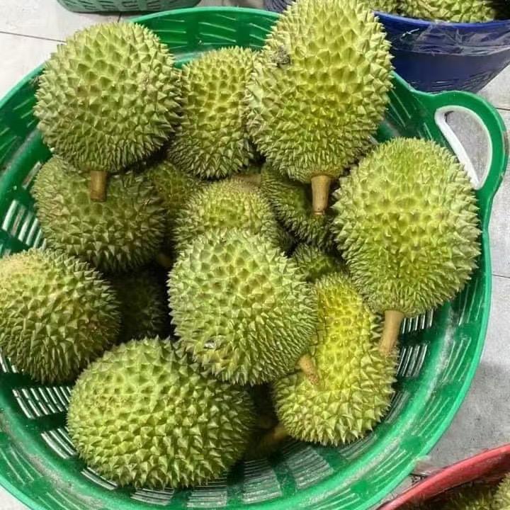 大弘资本（江南老表）