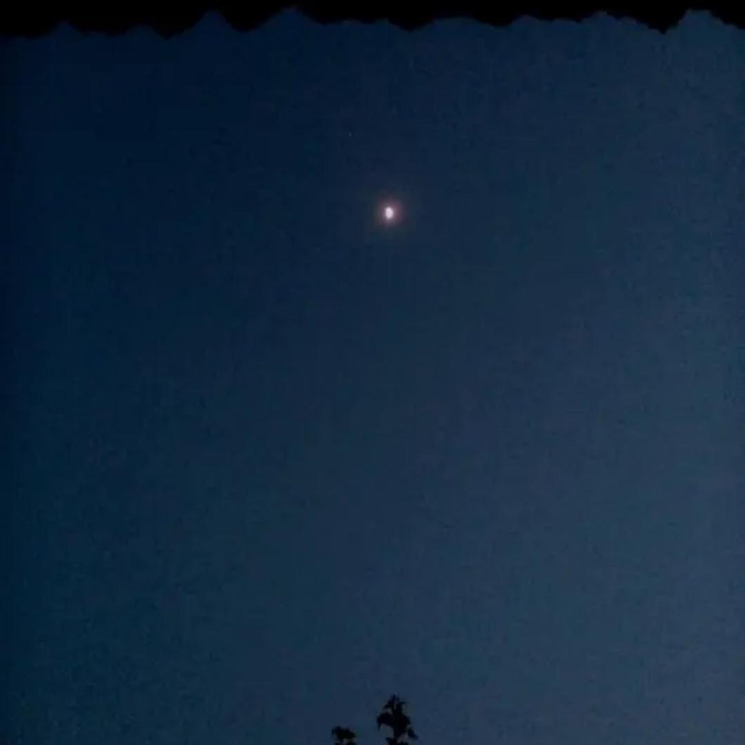 小潮㎕