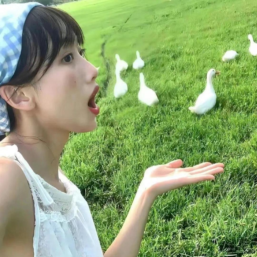 一只富贵🐰