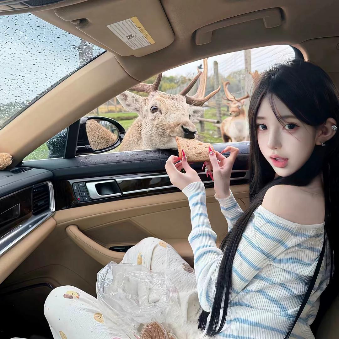 ㅤ  ㅤ  ㅤ  ㅤ