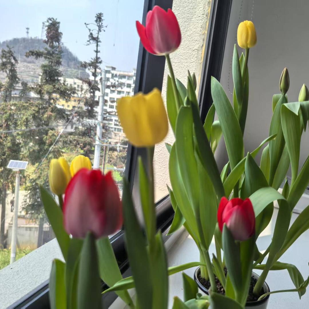 想在抖音找工作