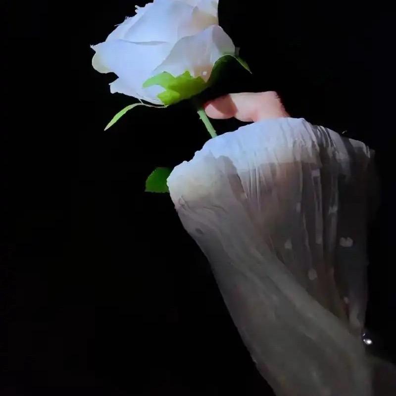 @❤️人间李想❤️