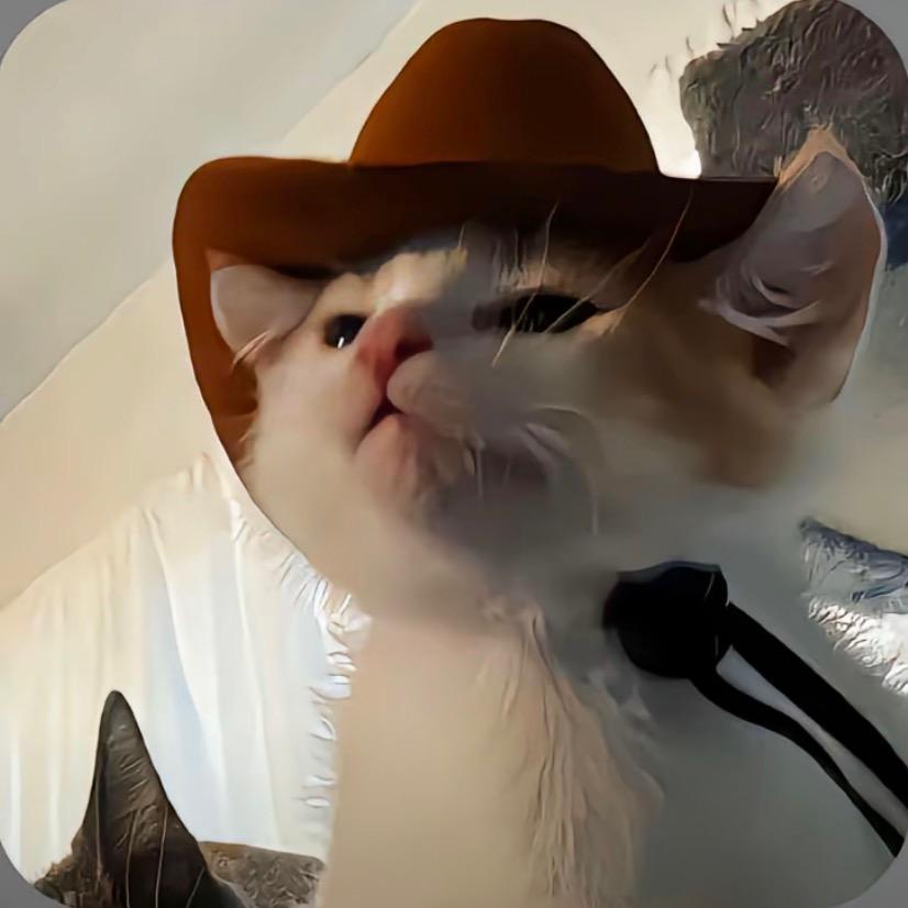 想想火华会怎么做