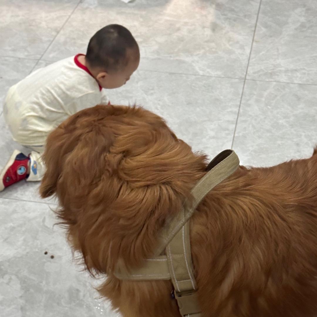 知足常乐