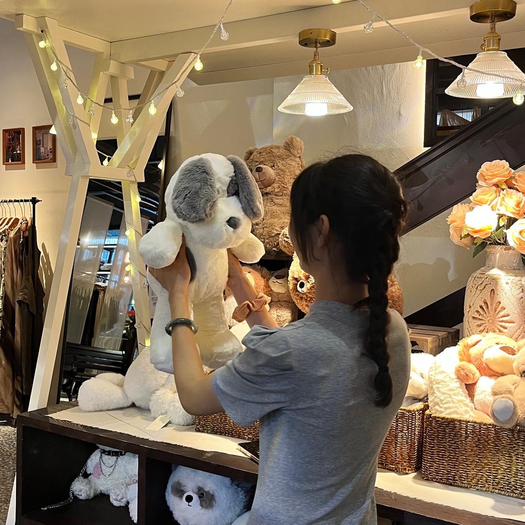 毛毛老师👩‍🏫