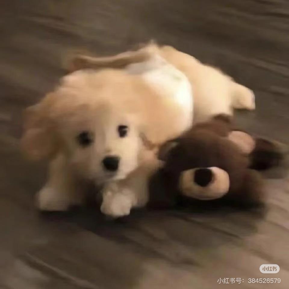 超级无敌大帅哥