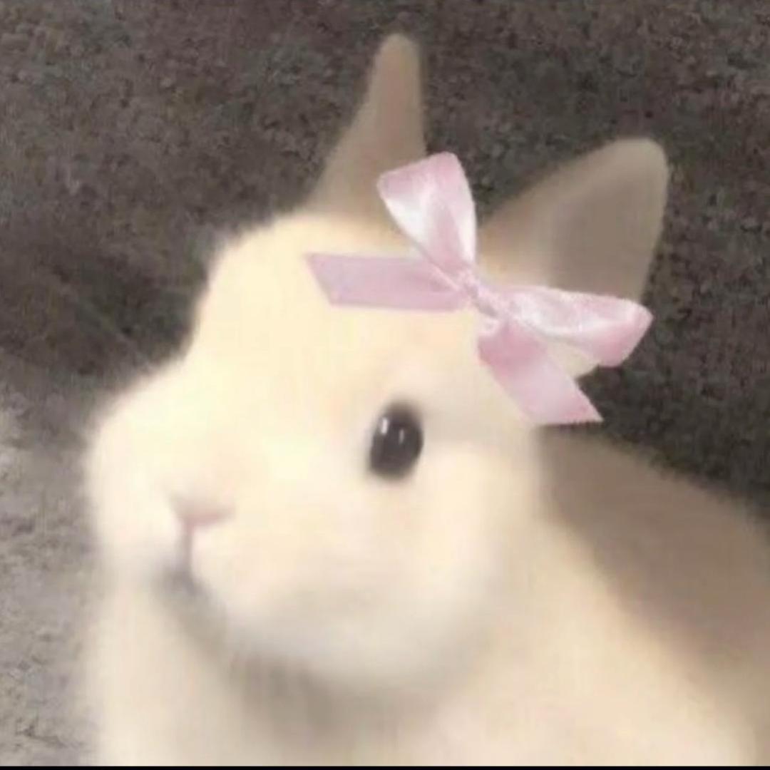 何好好