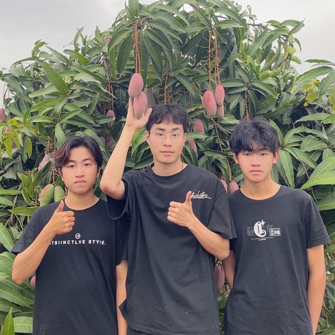阿杰家的果园(红心蜜柚)