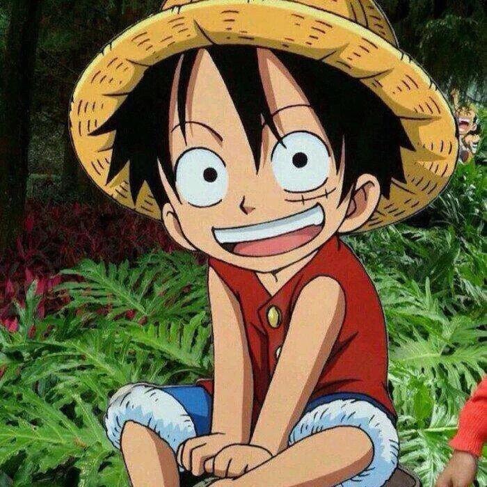 宁波Jack