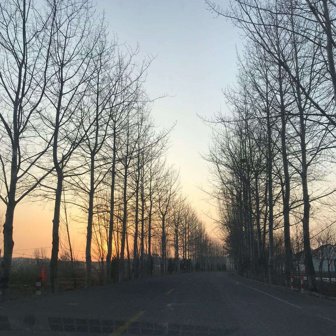 牛牛的生活日记