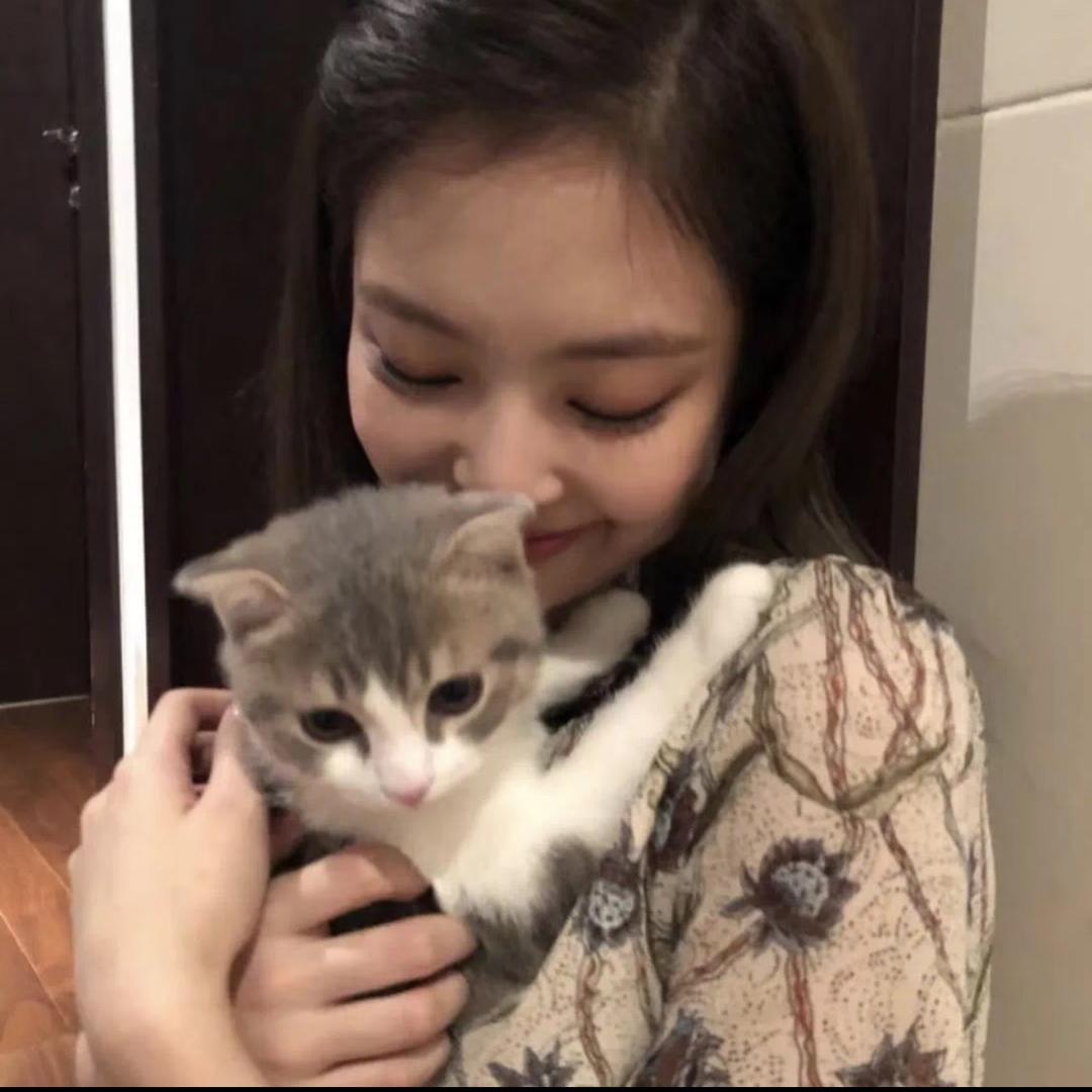 田卿の猫