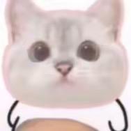 玉玊ovo