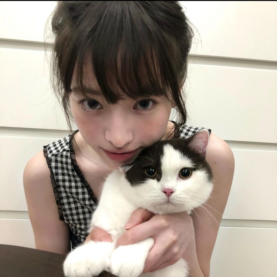 愿1⃣️
