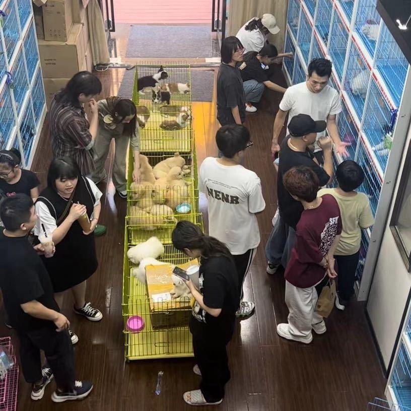 泉州宠物批发（总店）