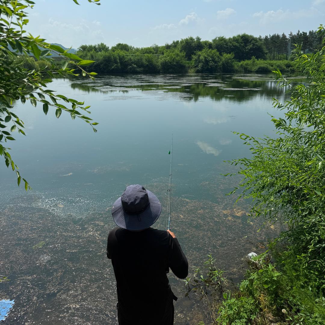 东北大米零售小铺