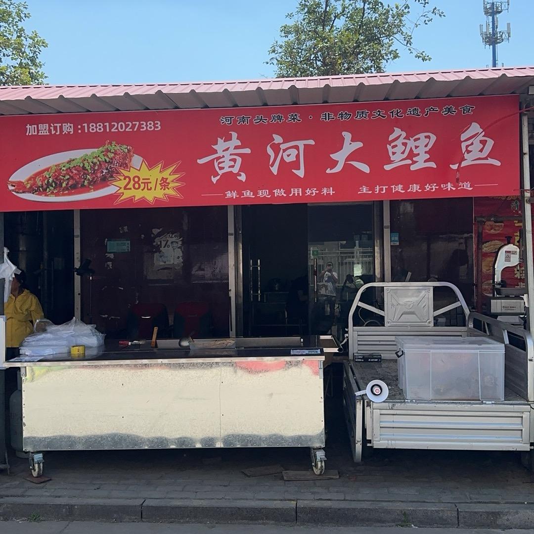 高碑店黄河大鲤鱼