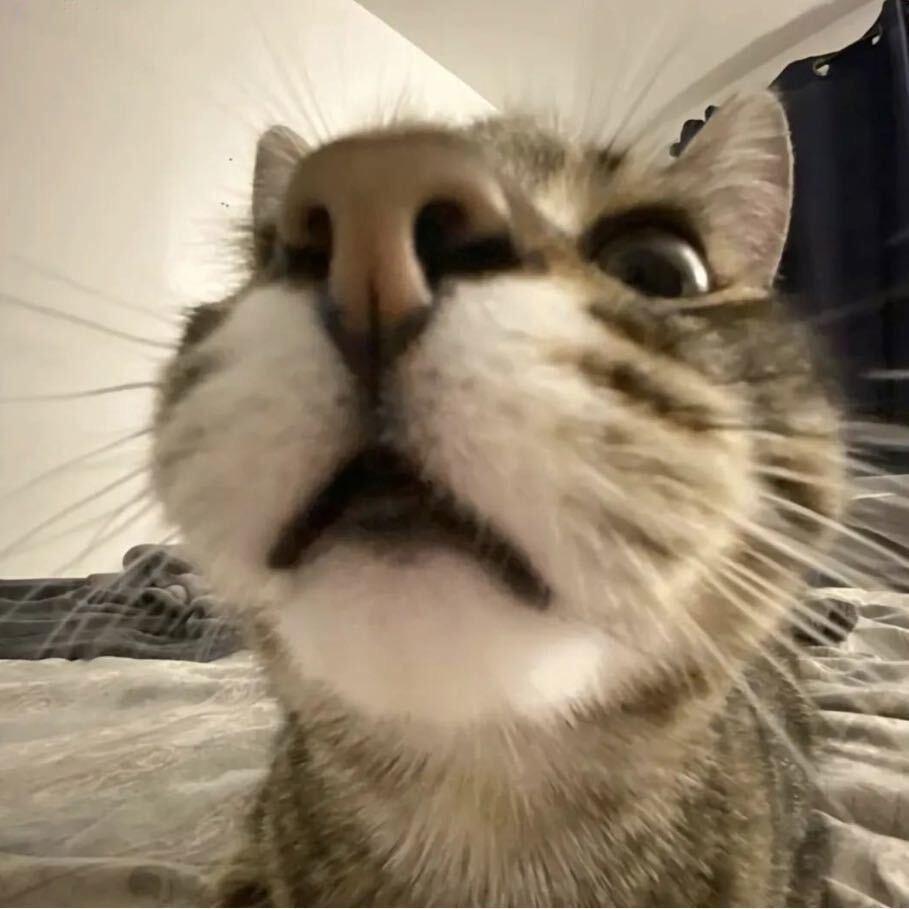 🧊