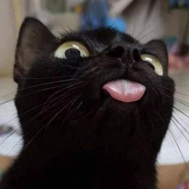 清风徐徐，。。