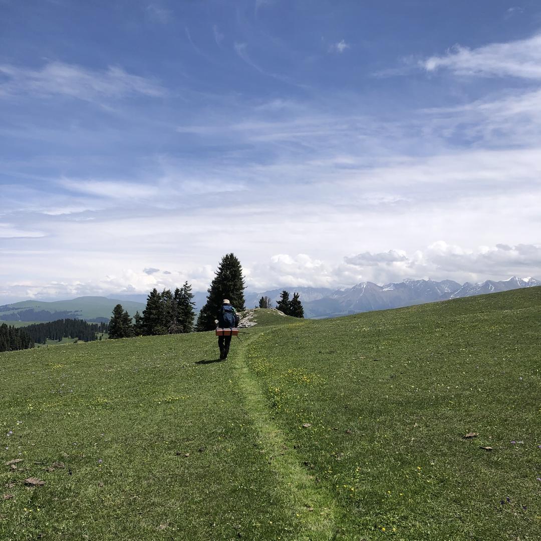 宠物与生活优品铺