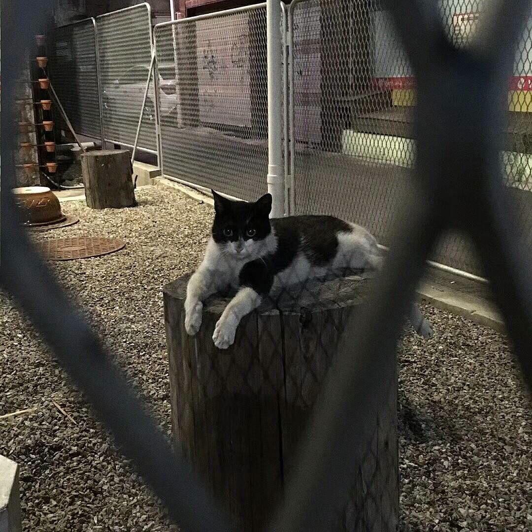 ❂