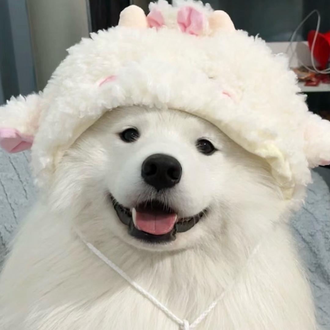 FM小沐紫