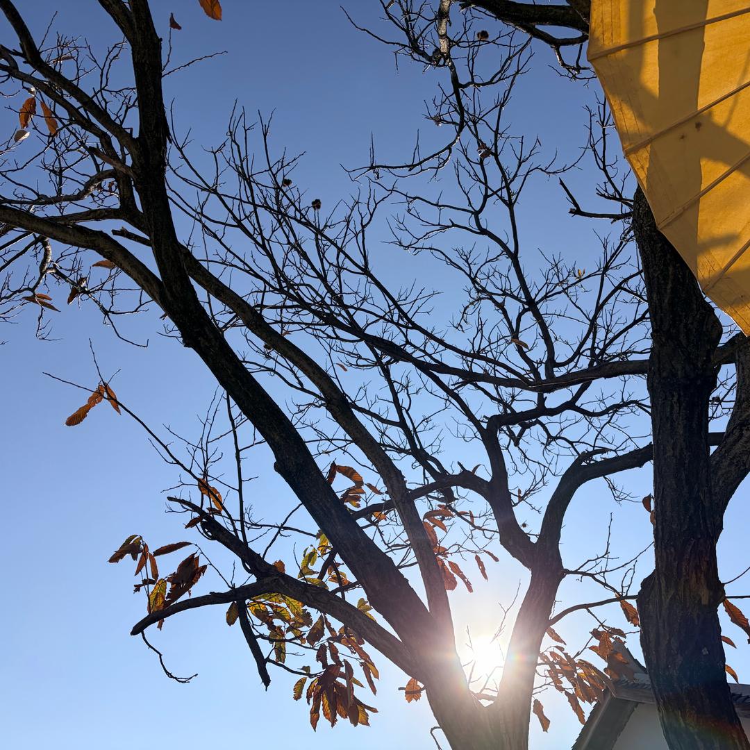 一个不知名的人🧚‍♀️