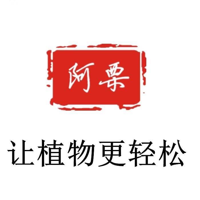 阿栗花卉