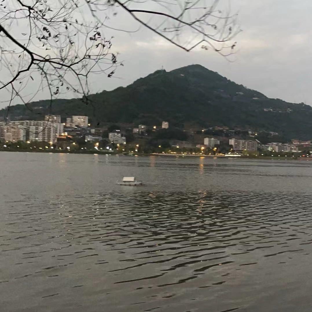 期待未来