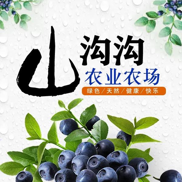 山沟沟农场