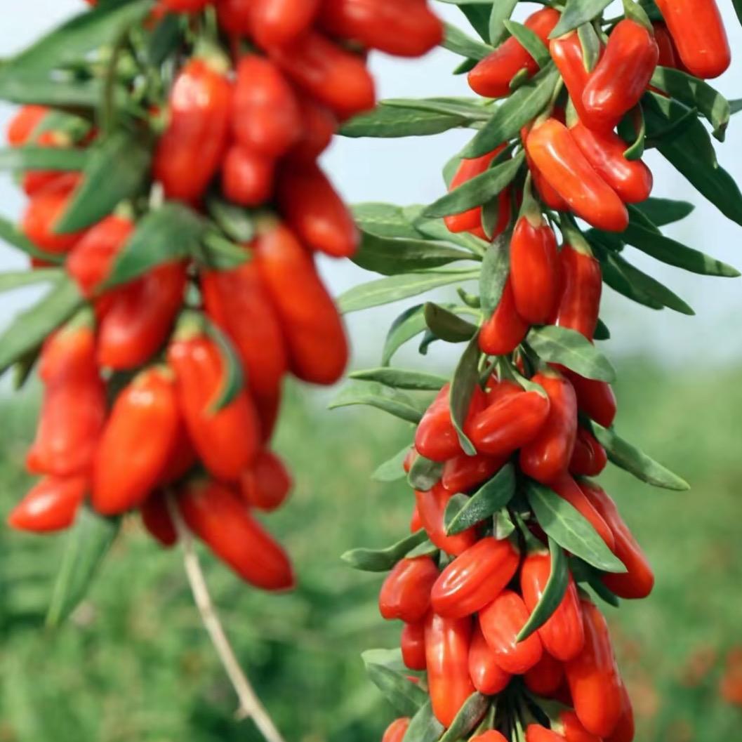 宜都市舫翩商贸有限公司企业店