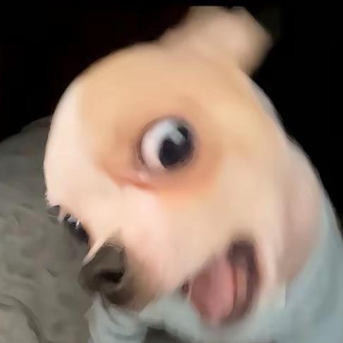 不发脾气只发财